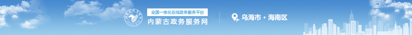 内蒙古政务服务网