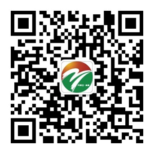 政务微信