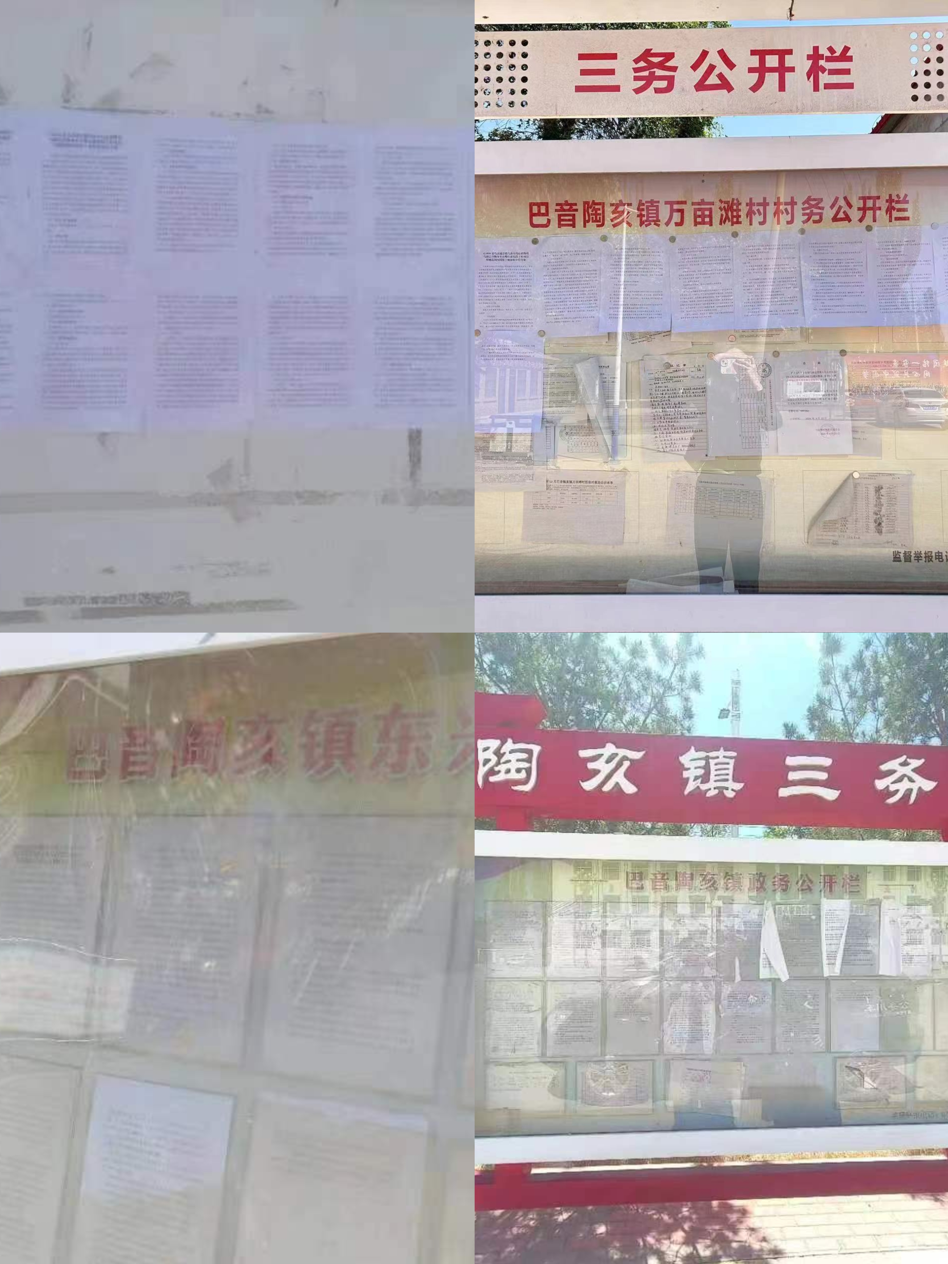 微信图片_20241103150345