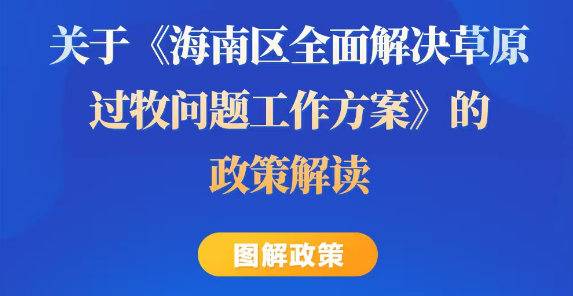 关于《海南区全面解决草原过牧问题工作方案》的政策解读