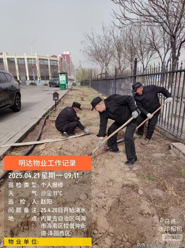 图片8