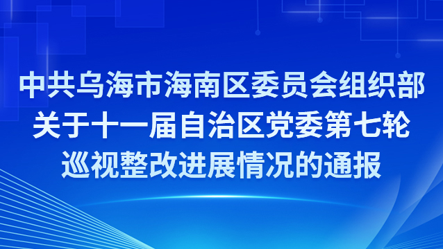中共乌海市海南区委员会组织部关于十一届自治区党委第七轮巡视整改进展情况的通报