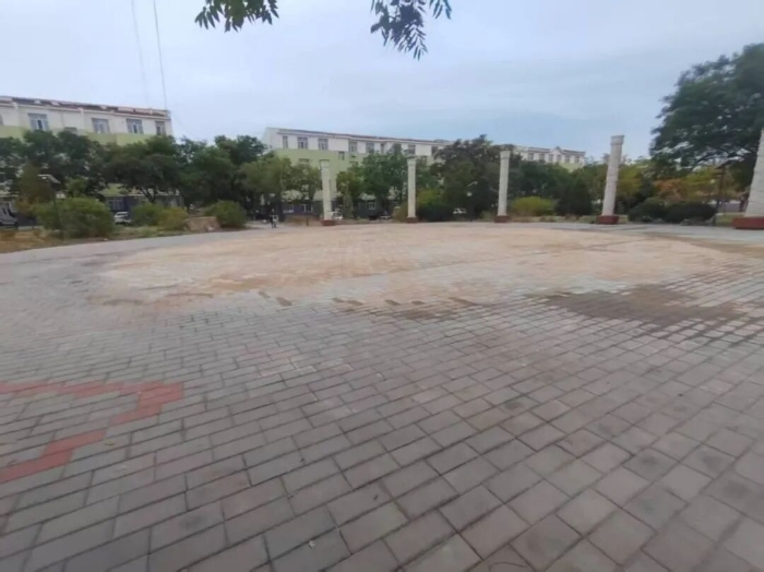 微信图片_20251010175214_12_354.jpg
