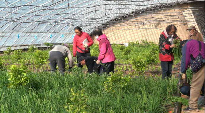 春启海南 消费焕新——海南区“春日经济”多点开花