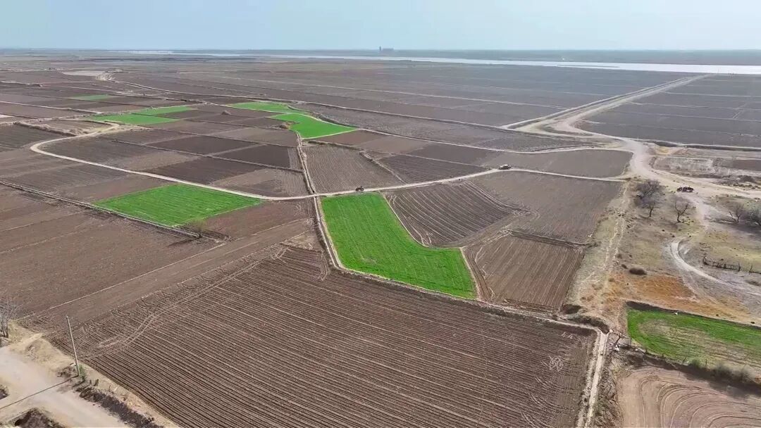 黄河岸畔春耕忙，海南沃野启新章——海南区春耕生产有序推进