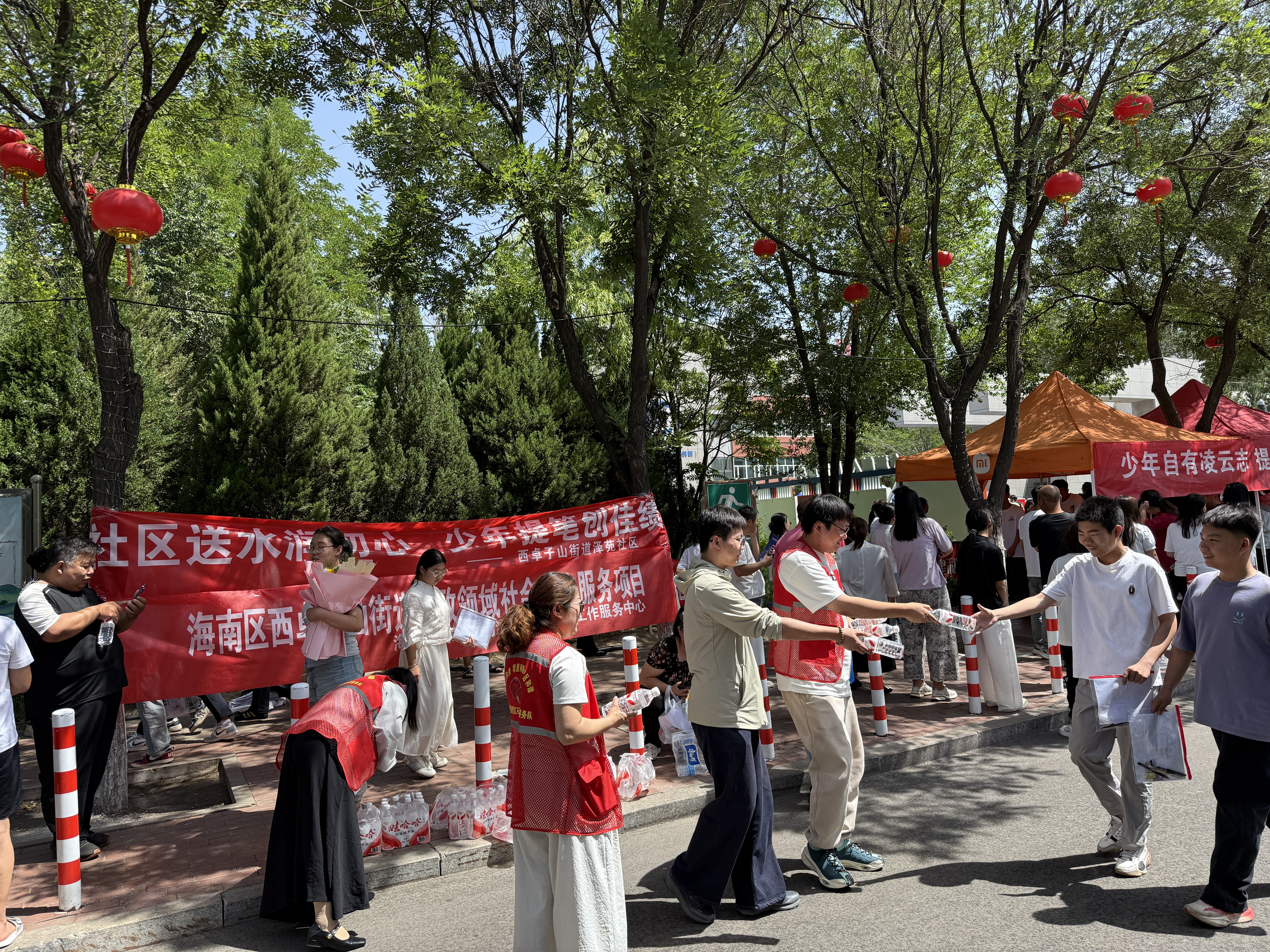 图片19
