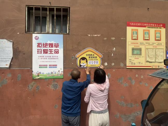 图片20 图片20